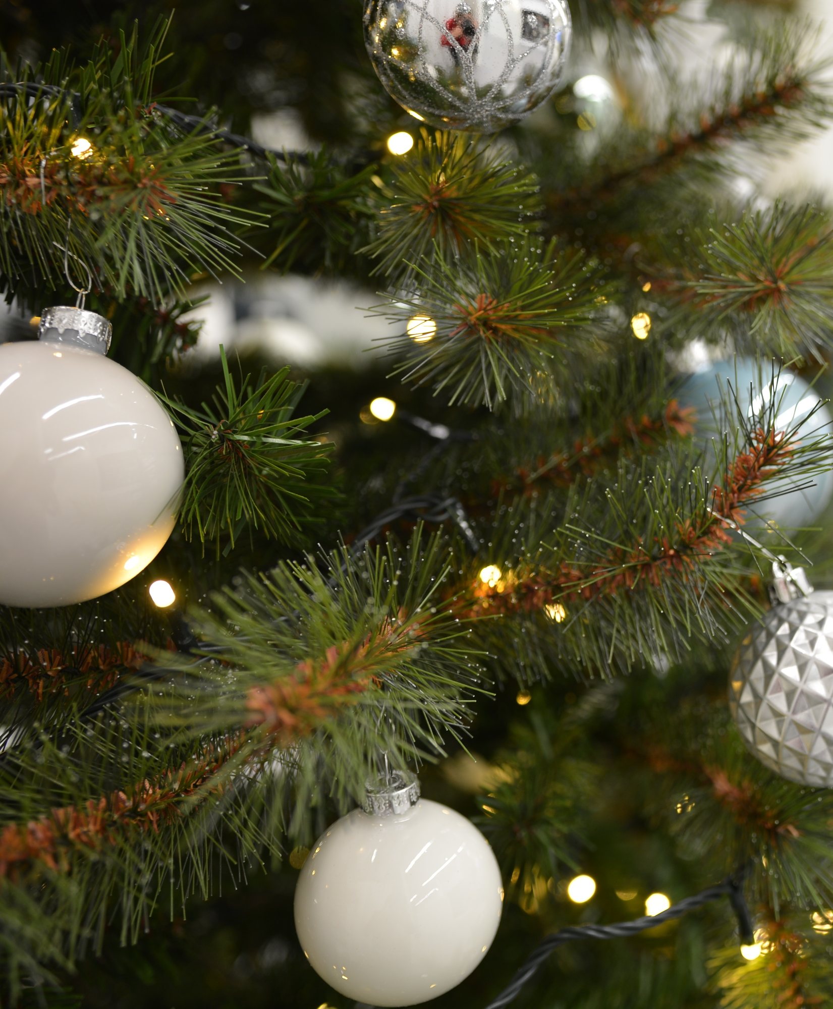 Titelbild zum Beitrag: Weihnachtsfeier 2019