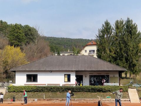 Foto 3 von 16: Die Auswinterungsarbeiten sind in vollem Gang! (vergrößern)