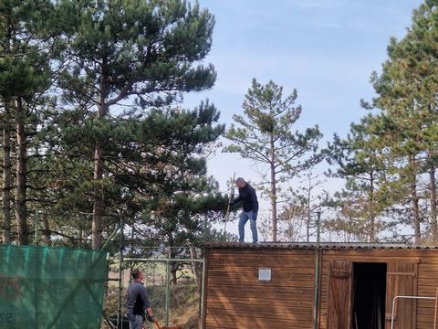 Foto 4 von 16: Die Auswinterungsarbeiten sind in vollem Gang! (vergrößern)