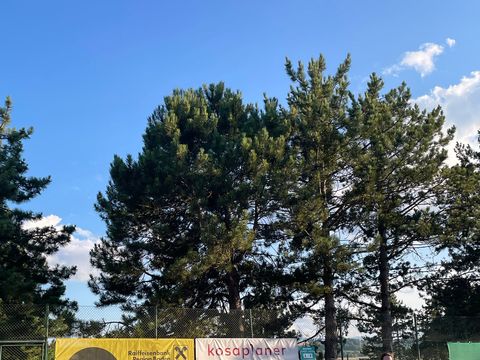 Foto 22 von 313: 10. Bad Vöslauer Thermencup 2026: Eine Woche voller Tennis auf höchstem Niveau (vergrößern)